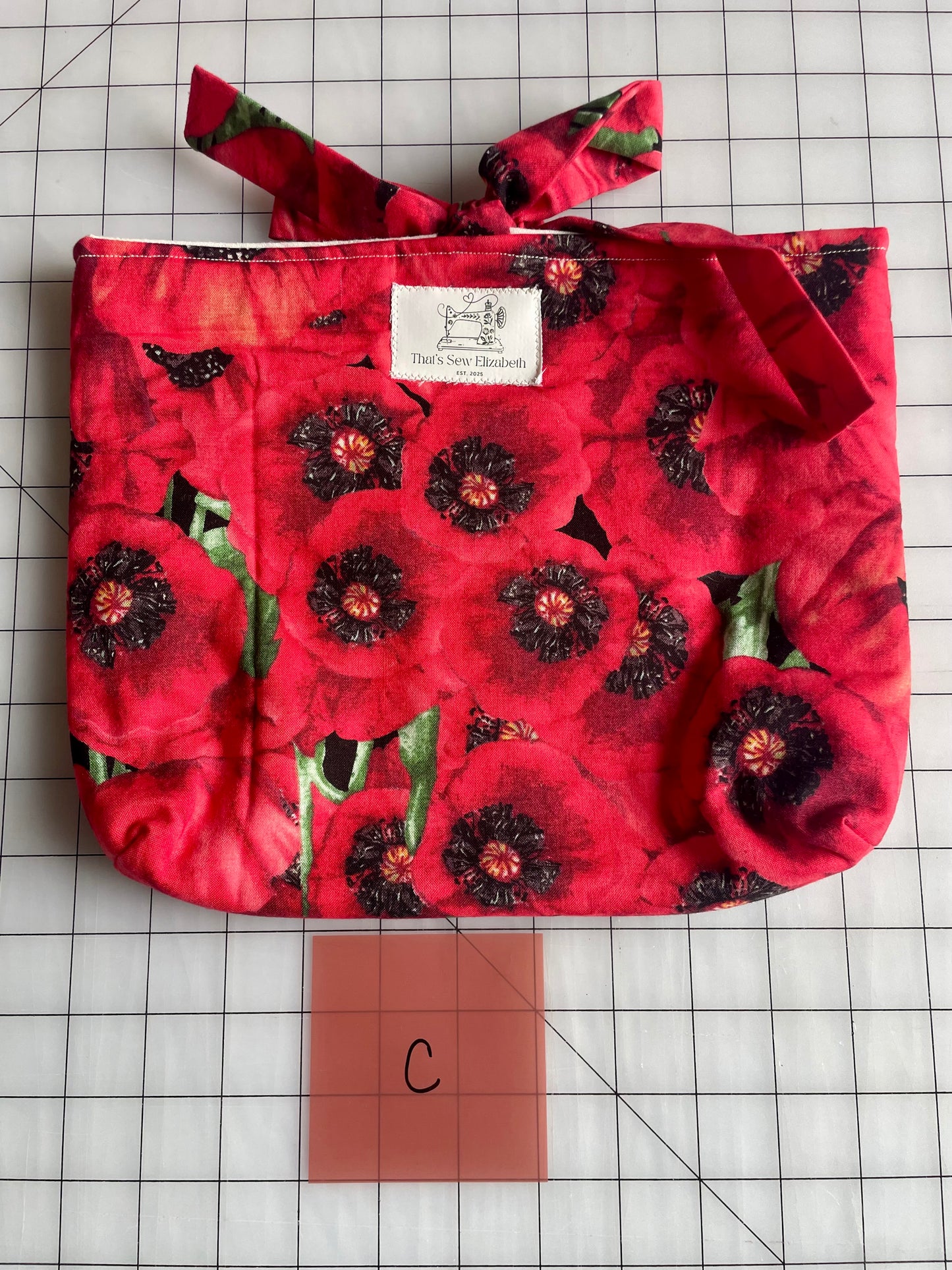 Standard Bible/book Sleeve