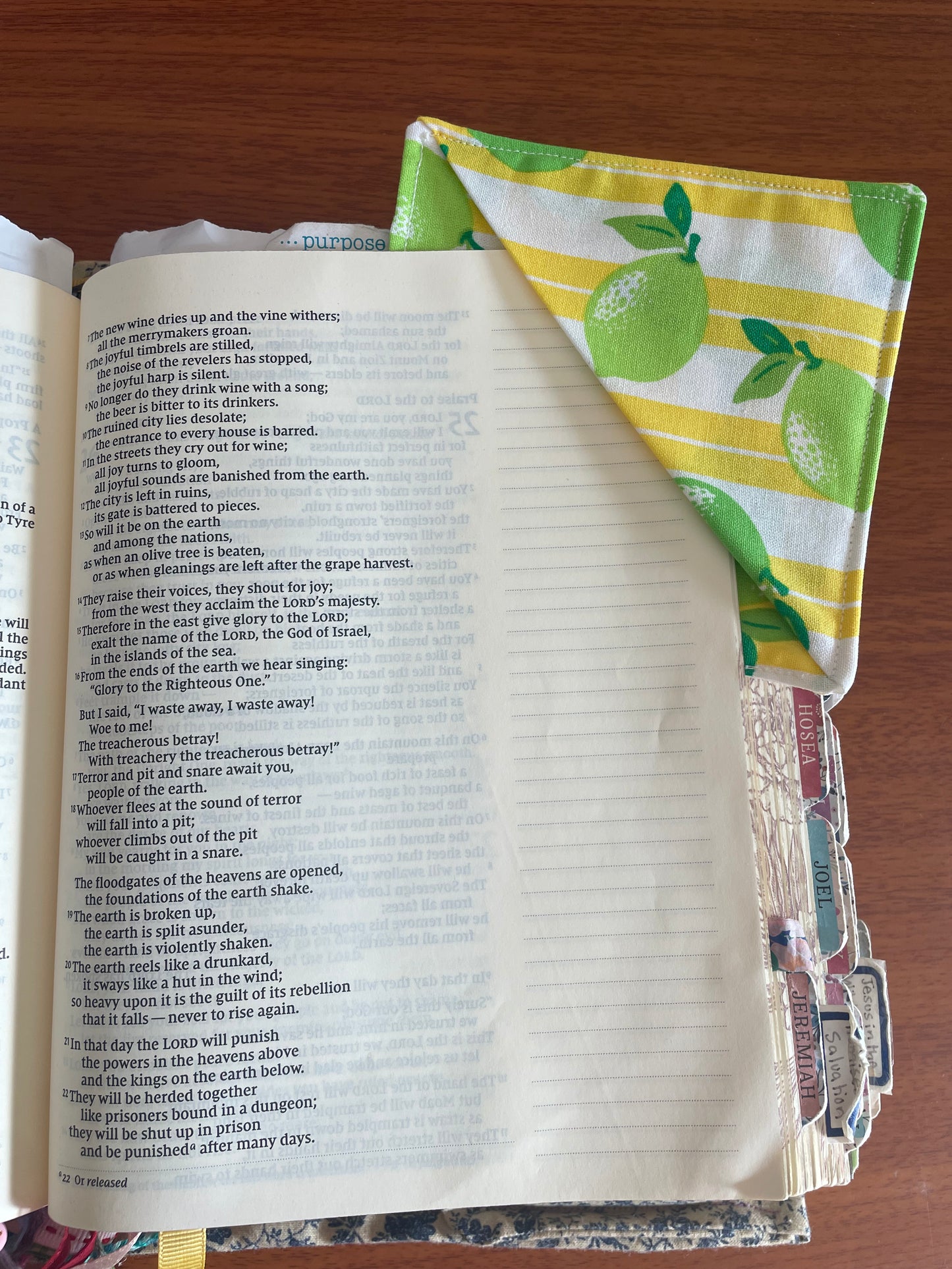 Corner Cozy Bookmark (surprise color)
